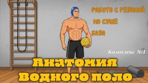 Работа ватерполиста с резиной на суше комплекс №1