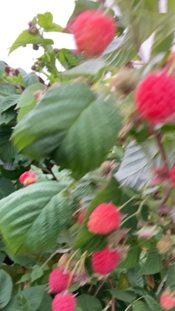 8 октября 2022 года.