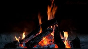 Видео костра. Звуки Огня. Треск Дров в костре. Уютное видео. Заставка на экран.