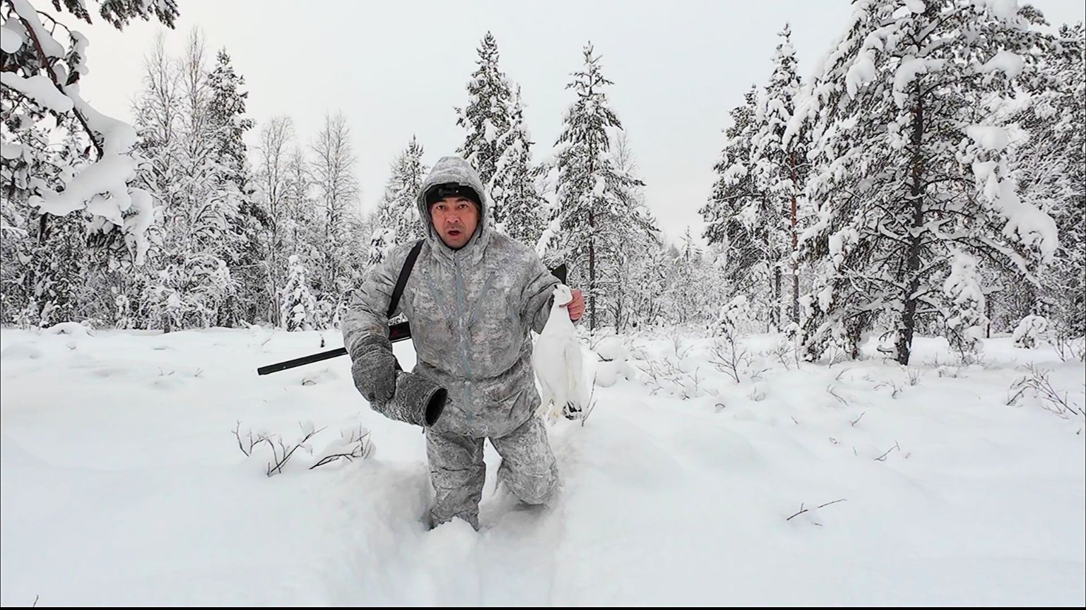 СУЕТА В ТАЙГЕ / ОХОТА НА БОРОВУЮ ДИЧЬ / ВЫВОЖУ ТЕХНИКУ ИЗ ЛЕСА.