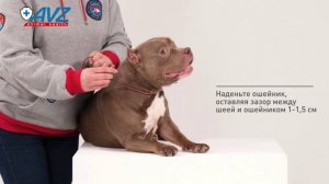 Барс ошейник инсектоакарицидный для собак крупных пород  80 см