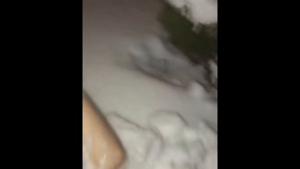 Optimus Gang Короли Инстаграма