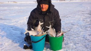 ВОТ ЭТО РЫБАЛКА. ДВА ВЕДРА РЫБЫ ЗА ДВА ЧАСА. ЗИМНЯЯ РЫБАЛКА. БЕШЕНЫЙ КЛЁВ!
