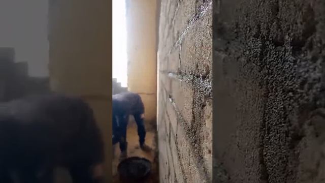 Каменщик Египта 4