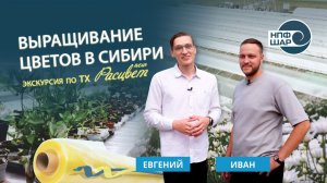 Выращивание цветов в Сибири под пленой СВЕТЛИЦА™ | Экскурсия по ТХ "РАСЦВЕТ"