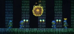 Едем в Жиши Суши