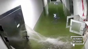 Видео недели: месть автомобилиста; гепарды-футболисты; волк-воришка; "Титаник" по-хабаровски. Чел...