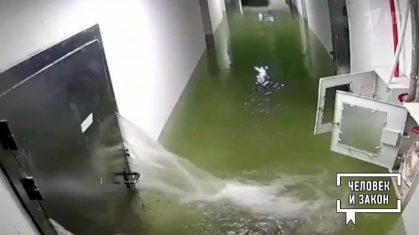 Видео недели: месть автомобилиста; гепарды-футболисты; волк-воришка; "Титаник" по-хабаровски. Чел...