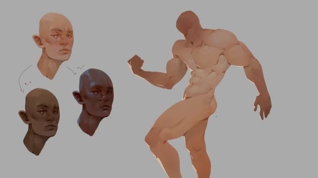 Anatomy Quick Tips Skin - Sinix Design (1080p, h264)