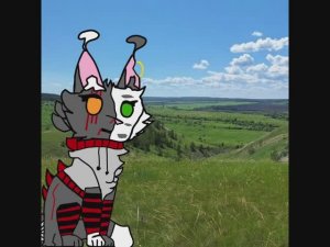 Реакция на фильм,комикс, или...Коты Воители Dark Night/ Темная Ночь