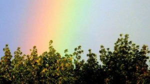 97.Соберу я друзей=.Сл.А.Зенцов,муз.Л.Орлова,аранж.Е.Обухова,исп.А.Волосников.