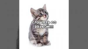 видео от Машули =3