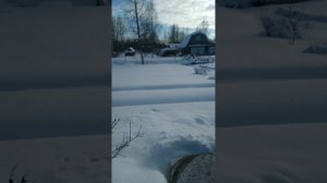 Копчение рыбы.