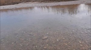 Сводка погоды с пляжей Любимовки за 6.02.26г.