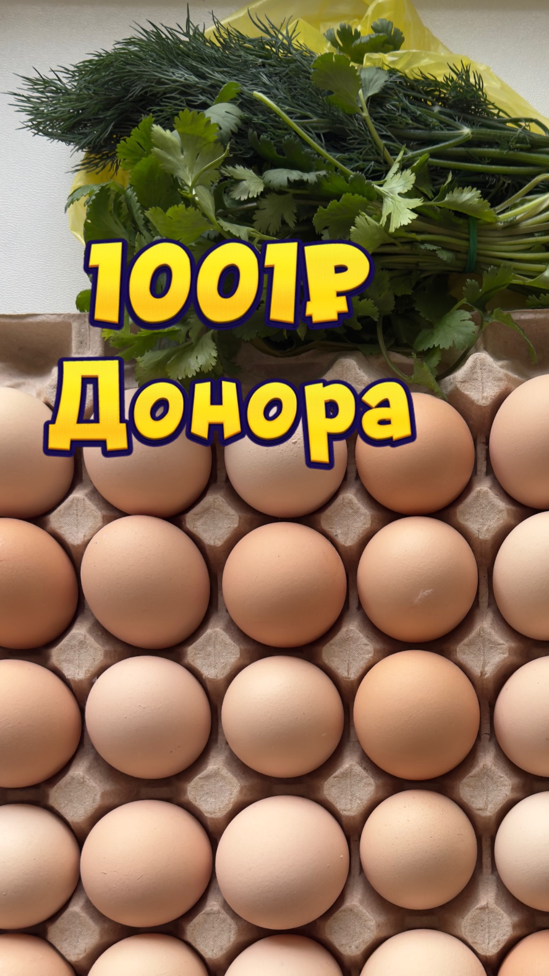 Это не плата за кровь — она бесценна!