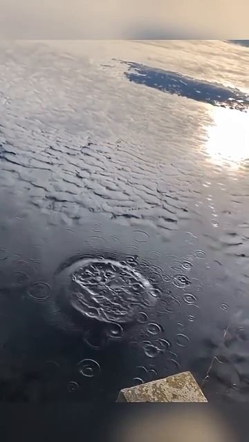 Are you starting to doubt your own eyes 😂😂 #illusion #viral #funny #funnyvideo смотреть онлайн