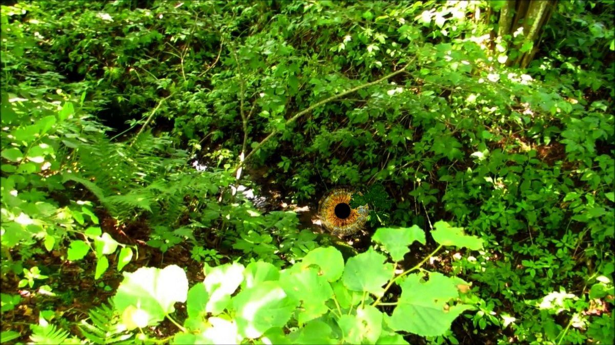 Заросшая канава смотреть онлайн