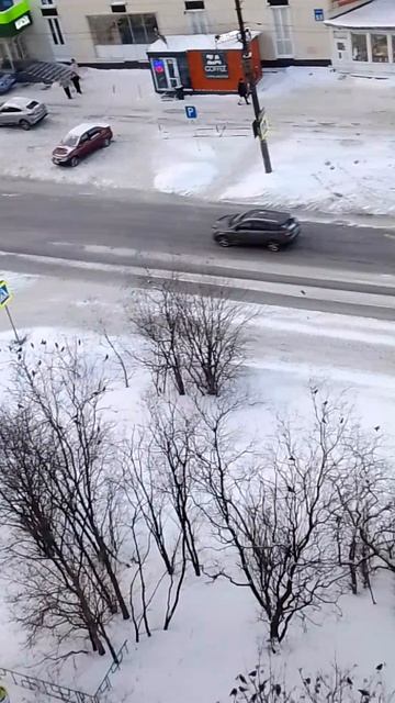 A day full of birds смотреть онлайн