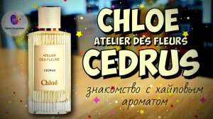 CHLOE CEDRUS (2019) - знакомство с классным ароматом от маэстро Квентина Биша!