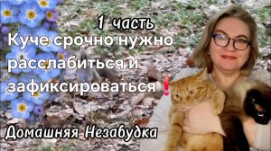1 часть. Куче срочно нужно расслабиться и зафиксироваться❗️
