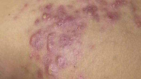 Relax Spa 092 • АСМР • SacDepSpa collection (ПВ9)