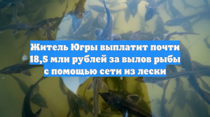 Житель Югры выплатит почти 18,5 млн рублей за вылов рыбы с помощью сети из лески