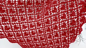 06-02-2026 Связалась необыкновенная красота.Обзор готовой работы ❤️❄️🧶