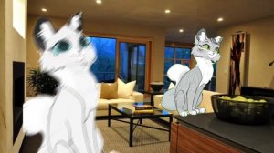 «прогулка»: 
1 сезон, 1 серия. «Выход в лес»
от пыльнолапой!