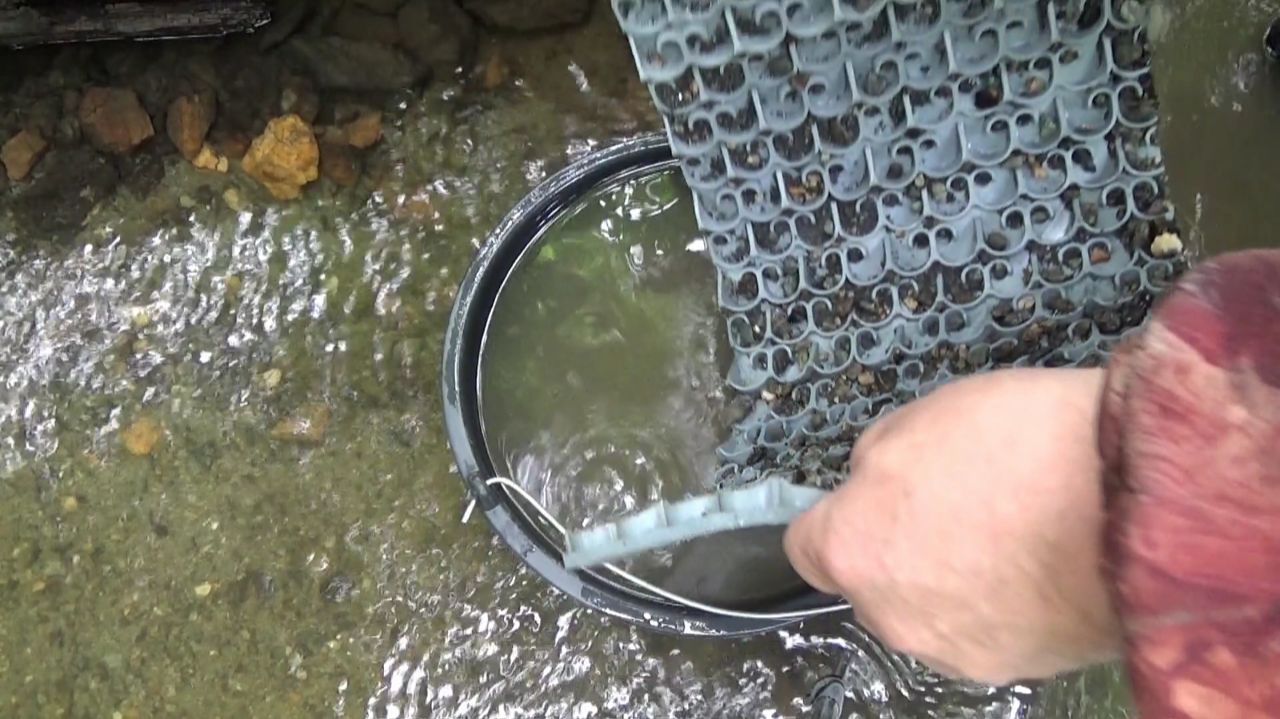 Самородное Золото в старом русле реки! смотреть онлайн