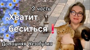 3 часть. Хватит беситься❗️