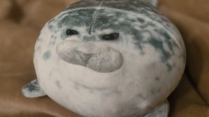 Прикол про Виталия в школе