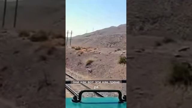 Токсичные психологи: как распознать и избежать непрофессионала — Психолог Александра Боровикова