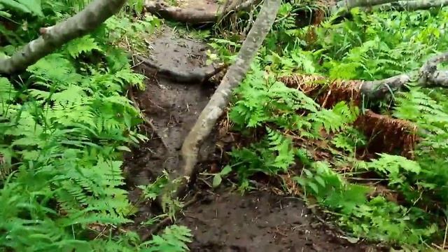 Камчатка, подъём на Маар 06.08.23. смотреть онлайн