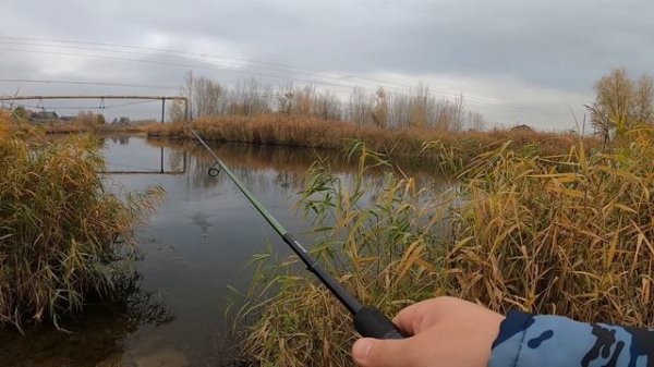 Уехали без улова