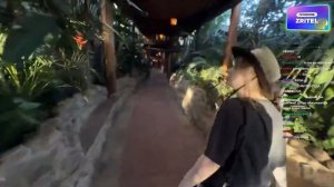 ДЕНЖЕР ЛЕХА И МОРФИ В АФРИКЕ