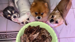 Сушим Говяжье Легкое - отличное лакомство для собак.