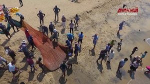 Дикая Шри-Ланка. Часть 2