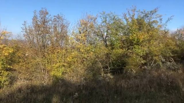 Обзор земельного участка - Крым, г. Судак, садоводство 