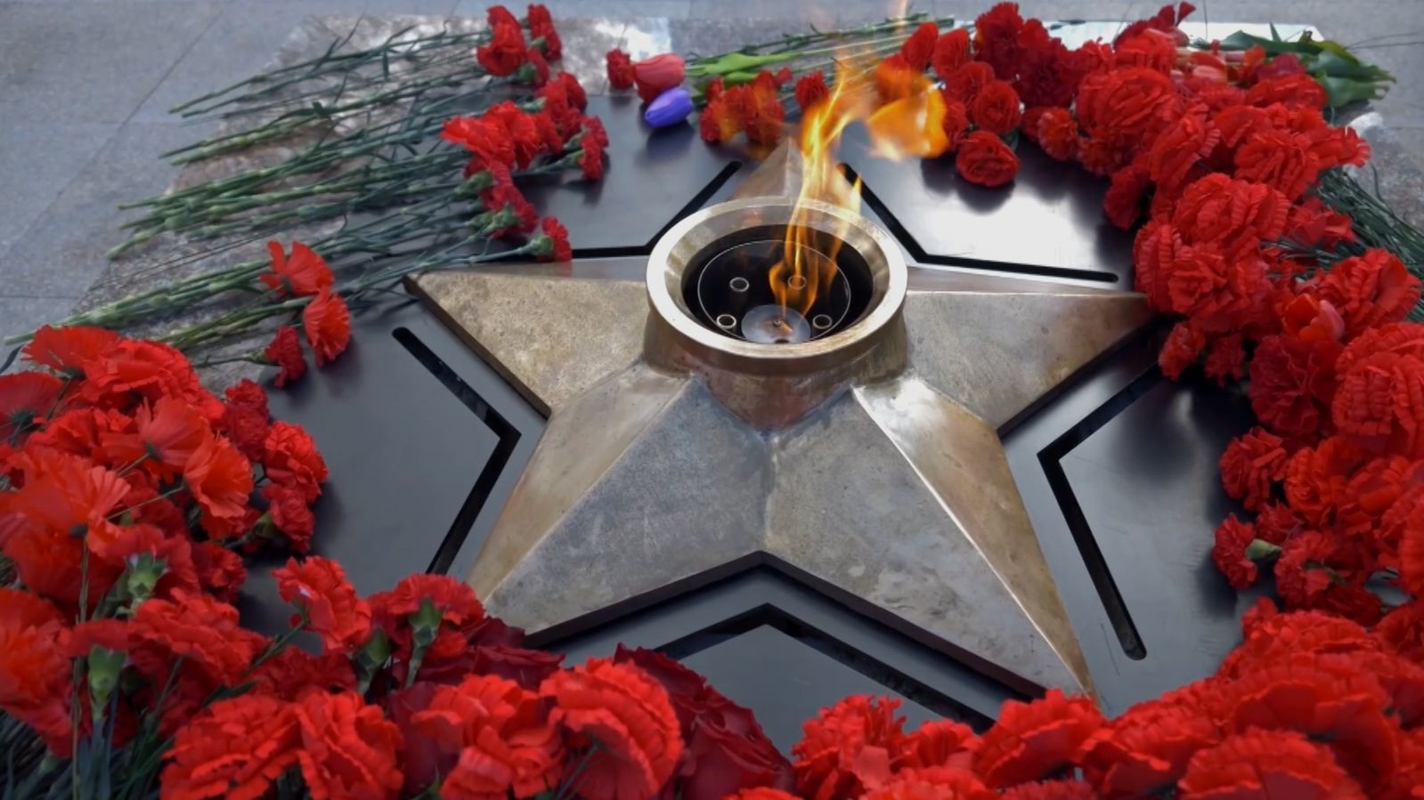 Год защитника Отечества и 80-летия Великой Победы в Новгородской области