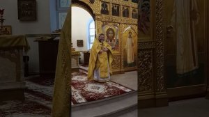06.02.2026. Проповедь прот. Игоря Гагарина в день памяти блж. Ксении Петербургской