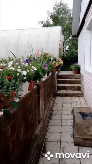 video5199478569494944955