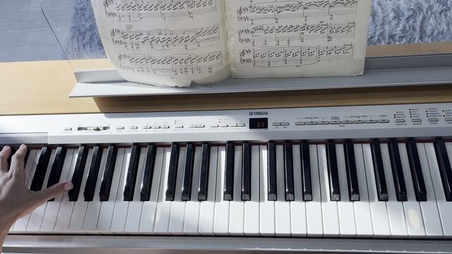 Первый урок по лунной сонате