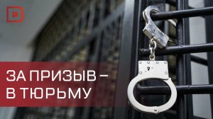 За призыв  к терроризму ответит по закону