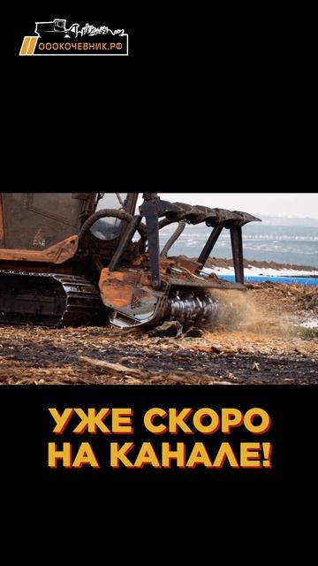 Смотрите завтра в 19:00 на канале "МУЛЬЧЕР ЭКСПЕРТ" смотреть онлайн