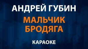 Андрей Губин - Мальчик бродяга (Караоке)