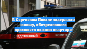 В Сергиевом Посаде задержали юношу, обстрелявшего прохожего из окна квартиры