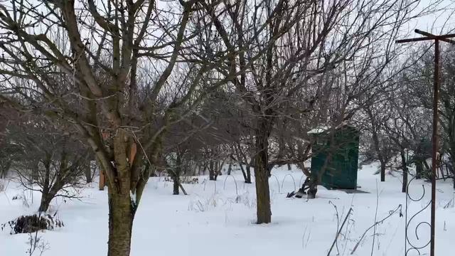 Начинается метель