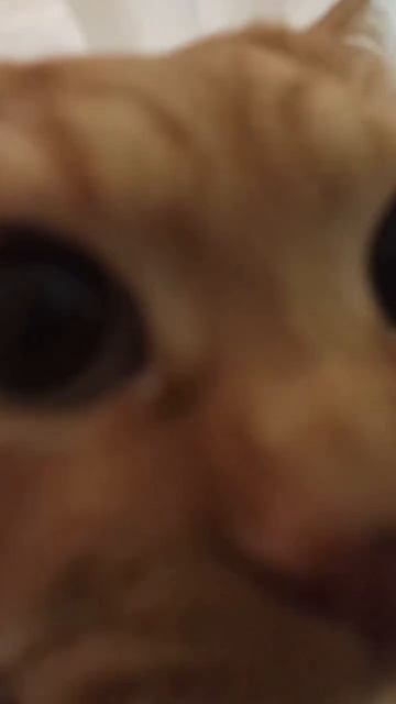 самое лучшее место для отдыха