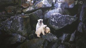 В Москве до 6 марта будет работать фестиваль уникальных фотографий "Первозданная Россия".