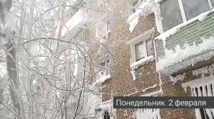 Рыбинск. События недели (31 января - 6 февраля 2026 года)